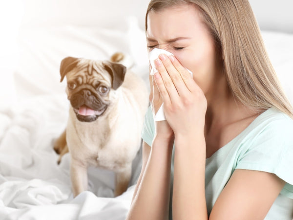 Can you be allergic to dogs but not cats