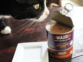 Mauri Cat Food Reviews